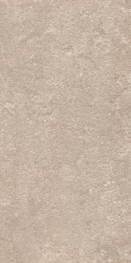 Emser Perenne 2CM 24" x 47" Porcelain Tile