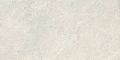 Emser Terramor 24" x 47" Porcelain Tile