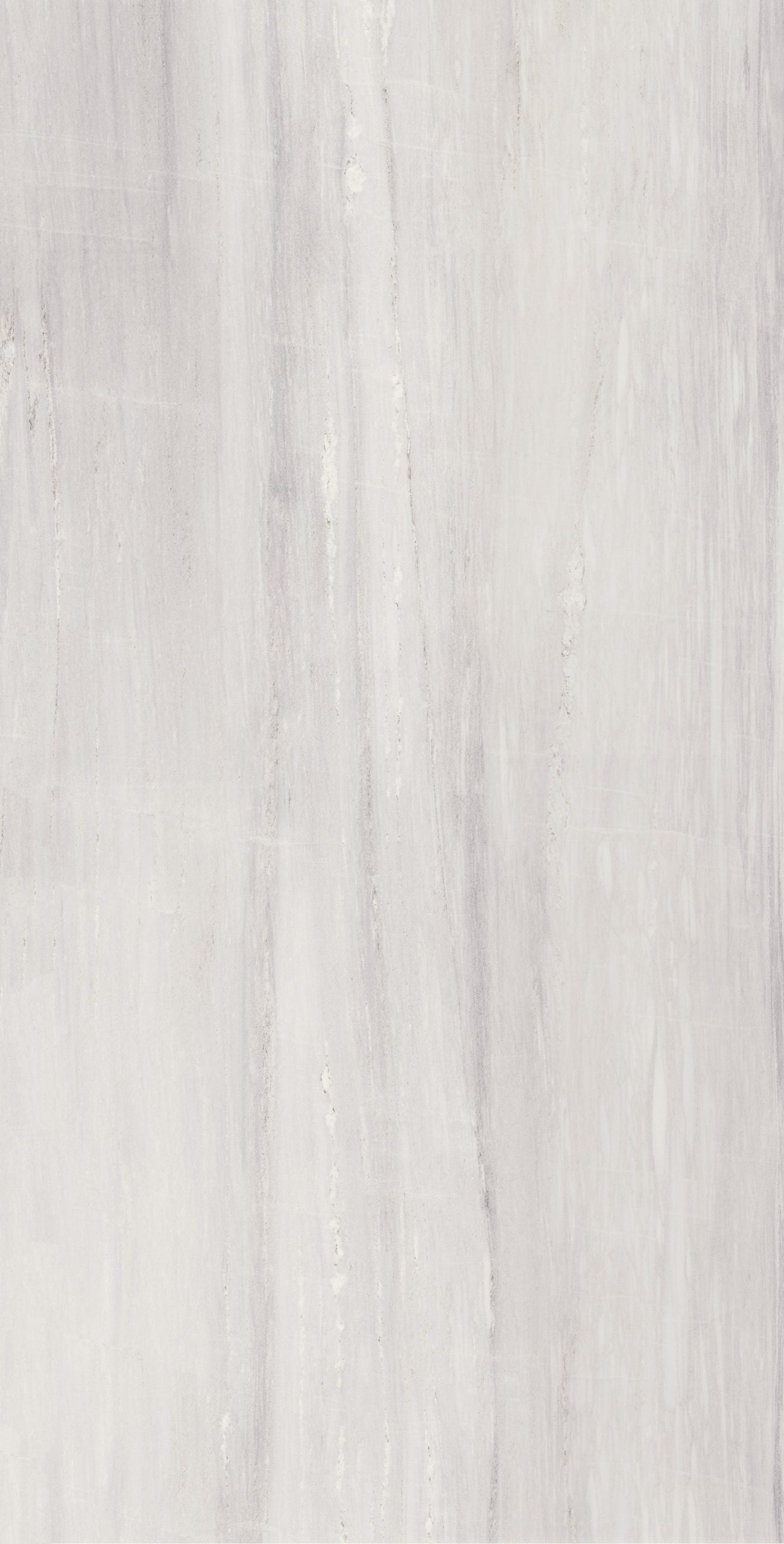 Portobello America Ageless 24" x 48" Porcelain Tile