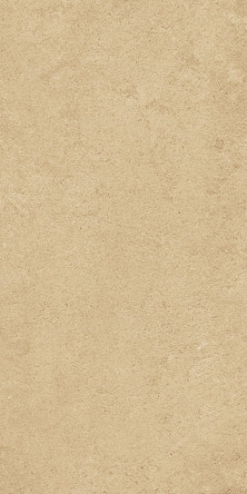 Emser Perenne R11 Anti-Slip 24" x 47" Porcelain Tile