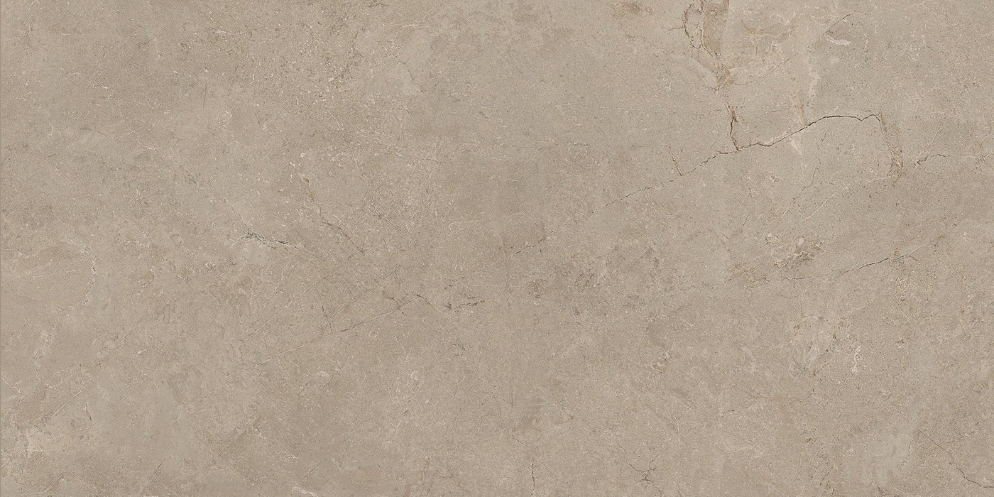 Emser Terramor 12" x 24" Porcelain Tile