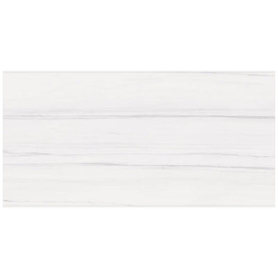 Ottimo Ceramics Bianco Dolomite 24" x 48" Porcelain Tile