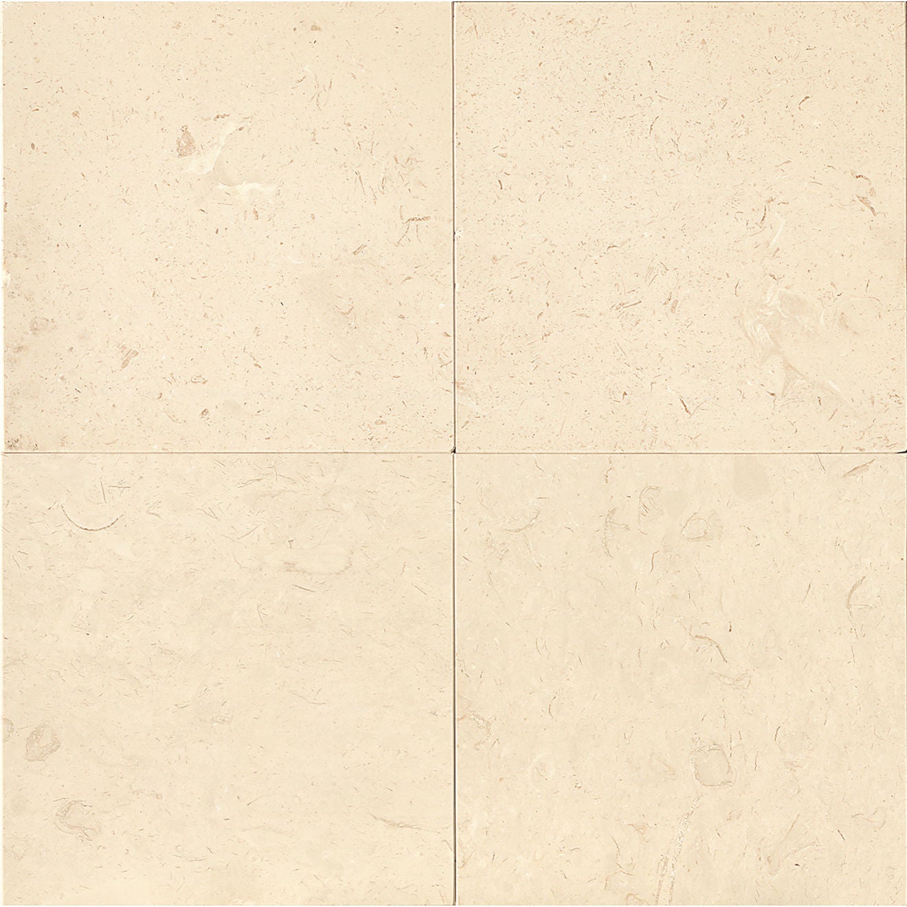 Bedrosians Limestone 24" x 24" Limestone Tile Corinthian White