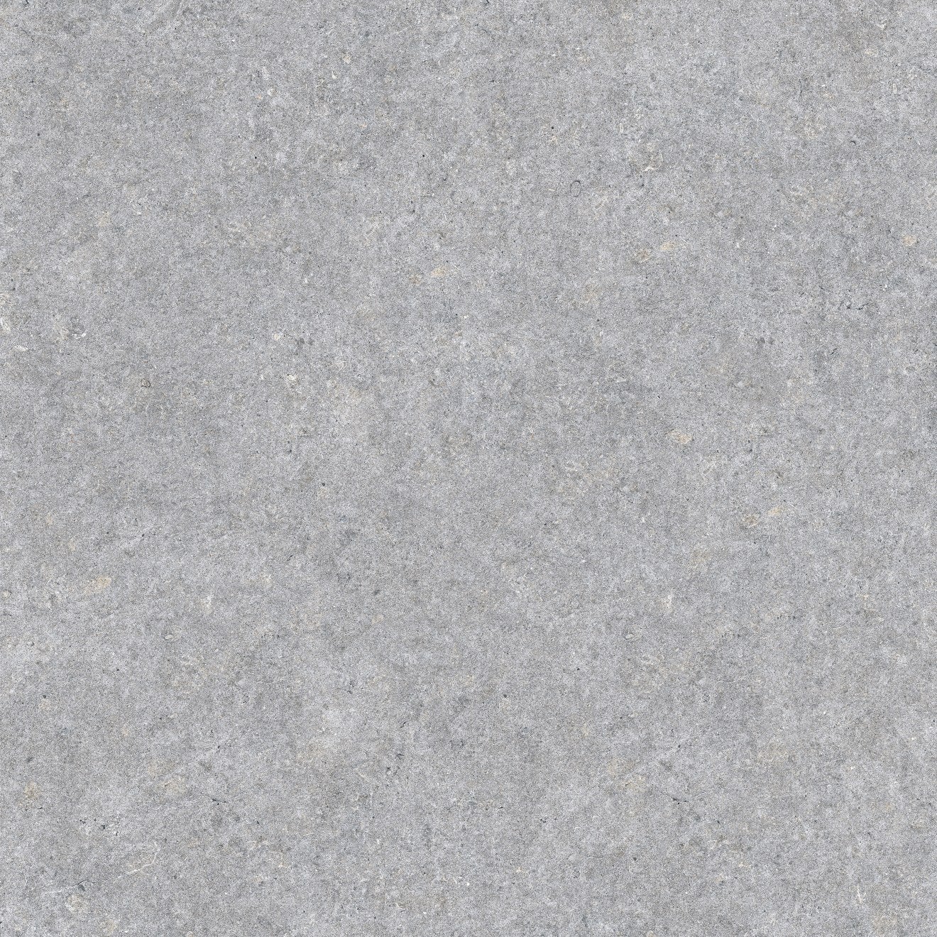 Bedrosians Magnifica Nineteen Forty Eight 48" x 48" Shell Beach Polished Porcelain Tile
