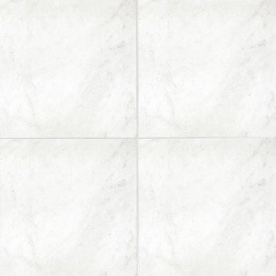 Bedrosians Marble 18" x 18" Marble Tile Glorious White