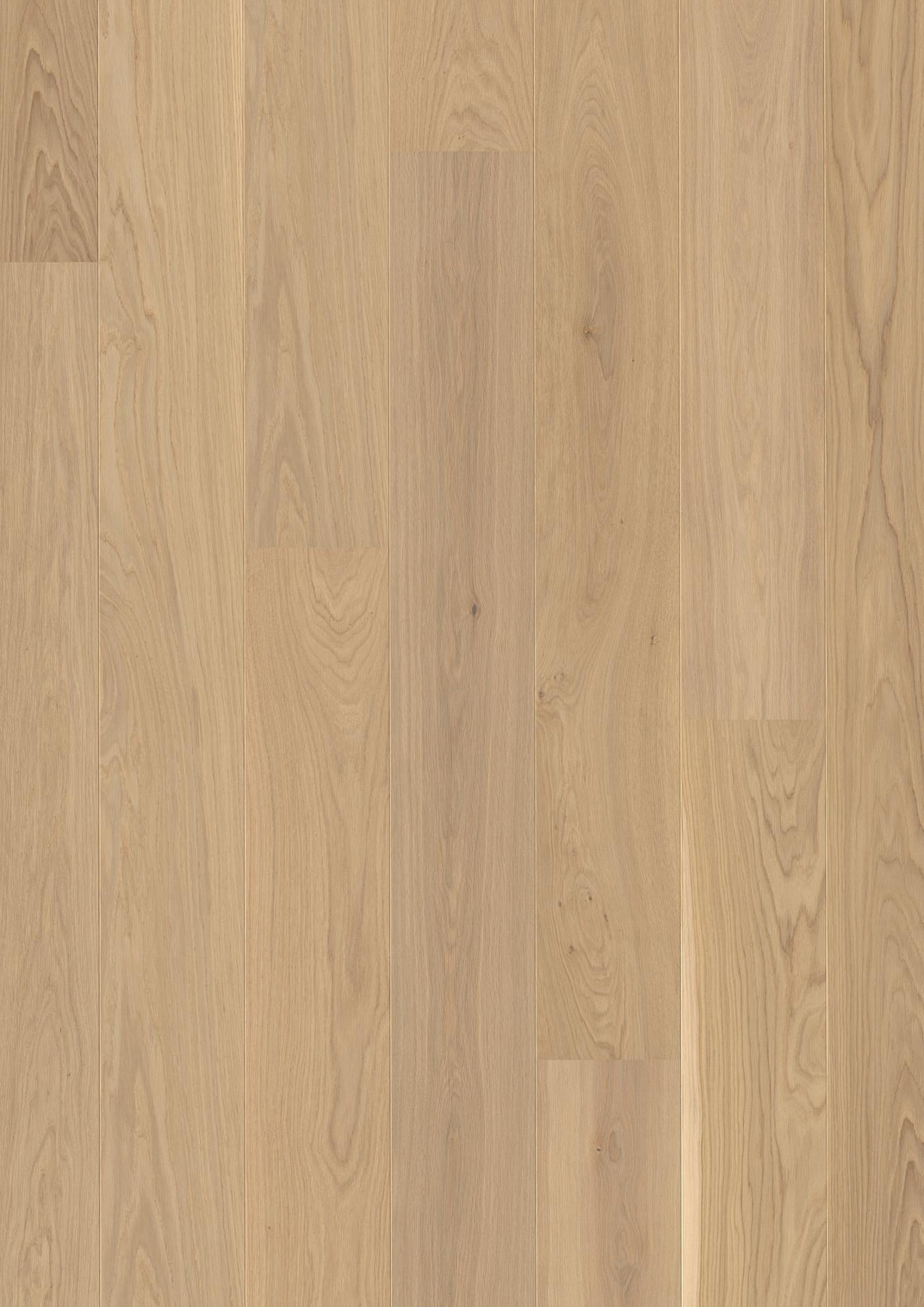 Boen Live Pure 8.25" x 86.62" Oak Grey Harmony Hardwood Plank