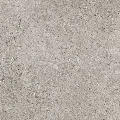Daltile Dignitary 12" x 24" Superior Taupe Textured Porcelain Tile