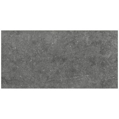 Daltile Diplomacy 24" x 48" Porcelain Tile