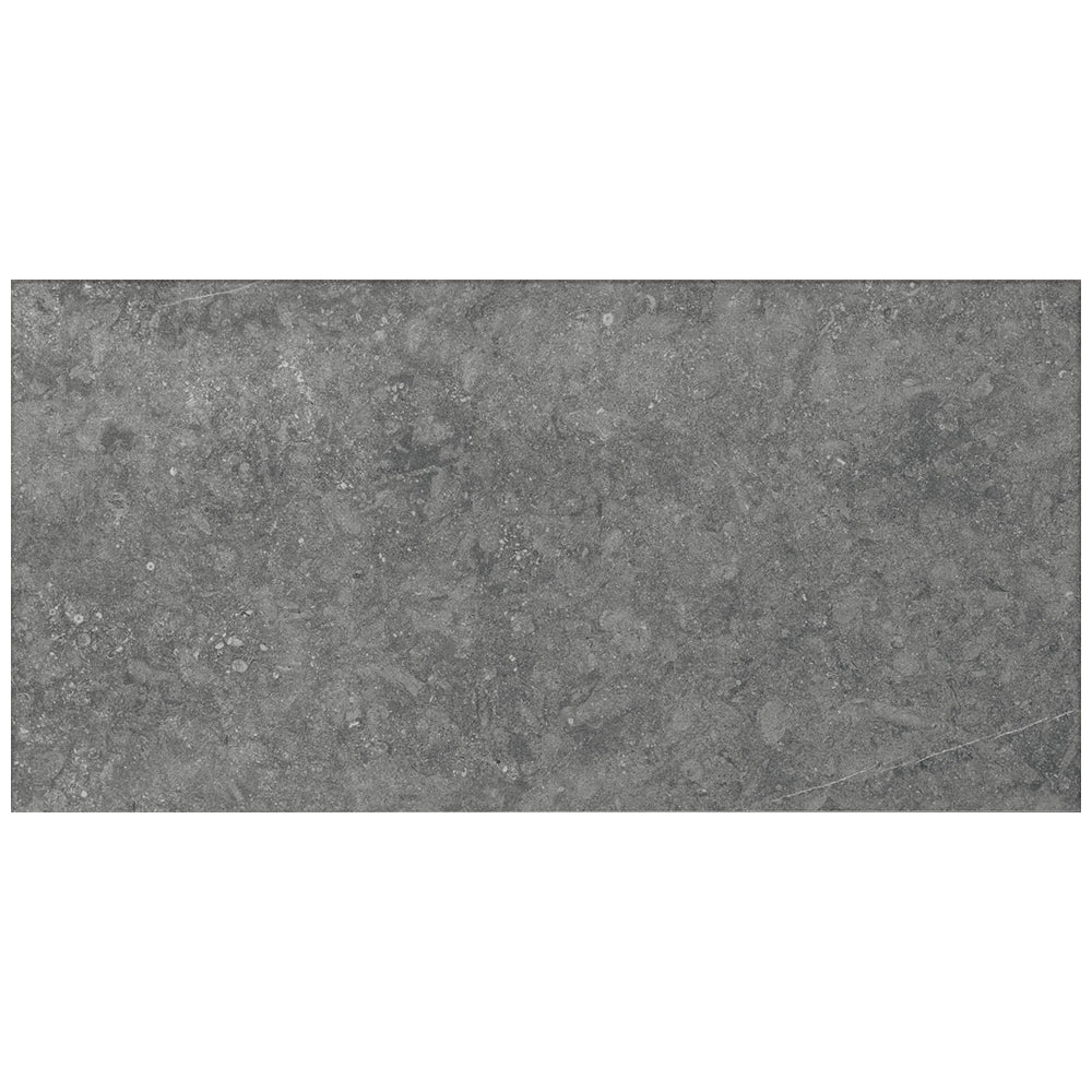 Daltile Diplomacy 24" x 48" Porcelain Tile