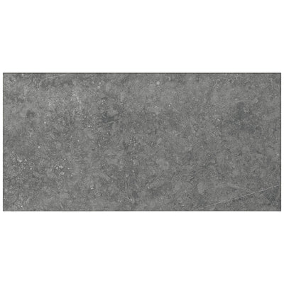 Daltile Diplomacy 24" x 48" Porcelain Tile