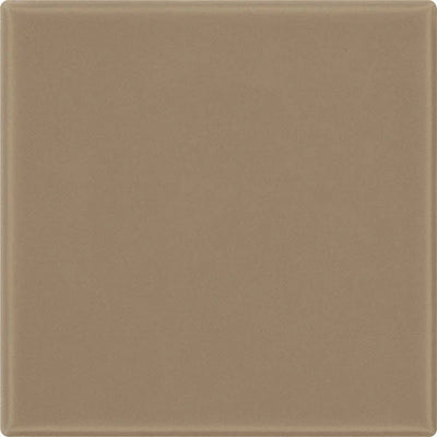 Daltile Keystones With Clearface 2 X 2 12" x 24" Porcelain Mosaic