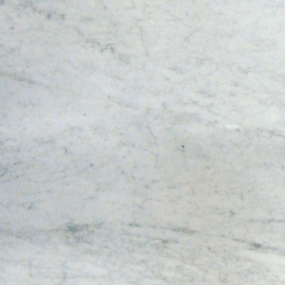 Daltile Marble 12" x 12" Daphne White Polished Marble Tile