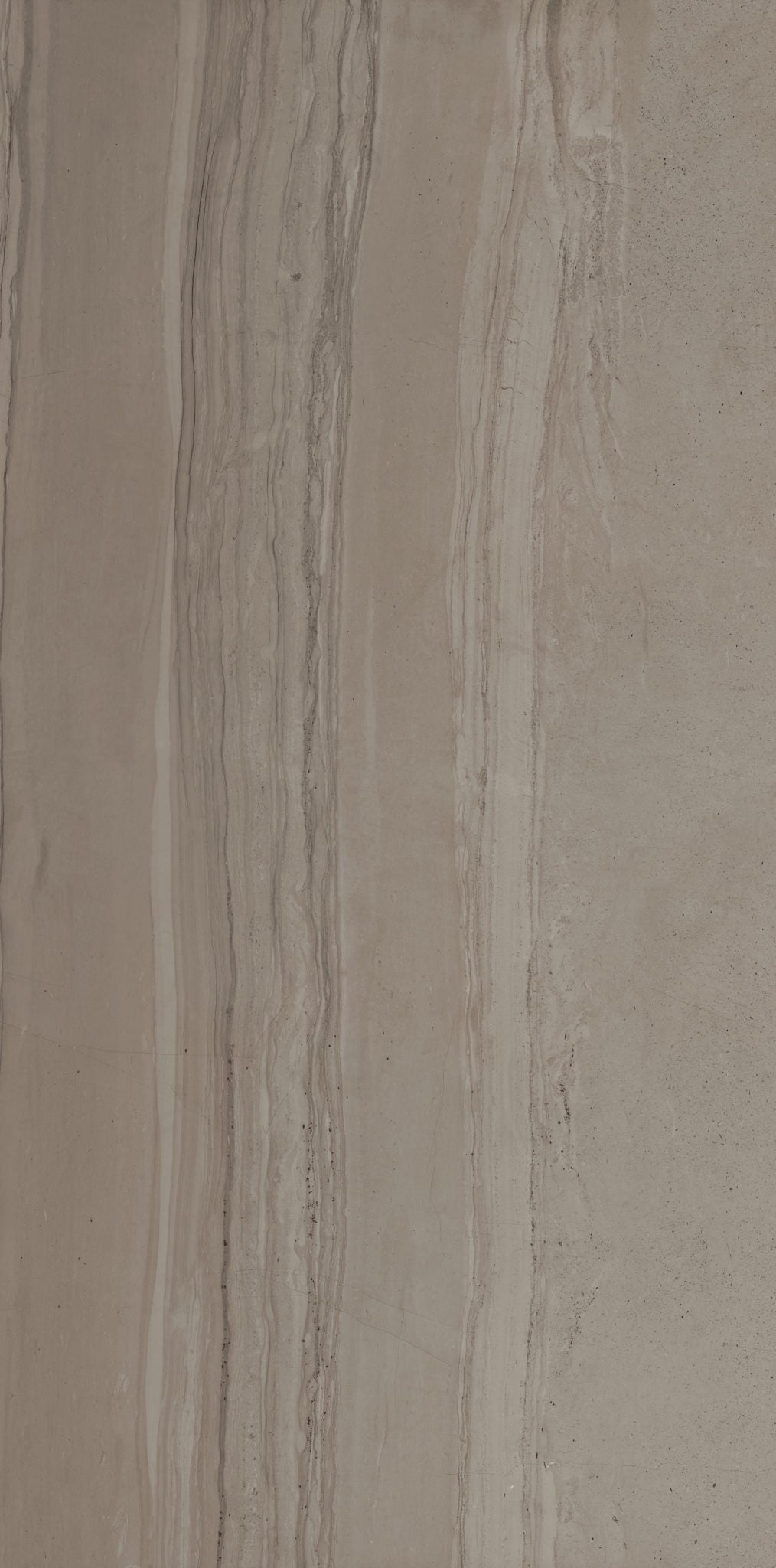 QDI Surfaces Travel 12" x 24" Porcelain Tile