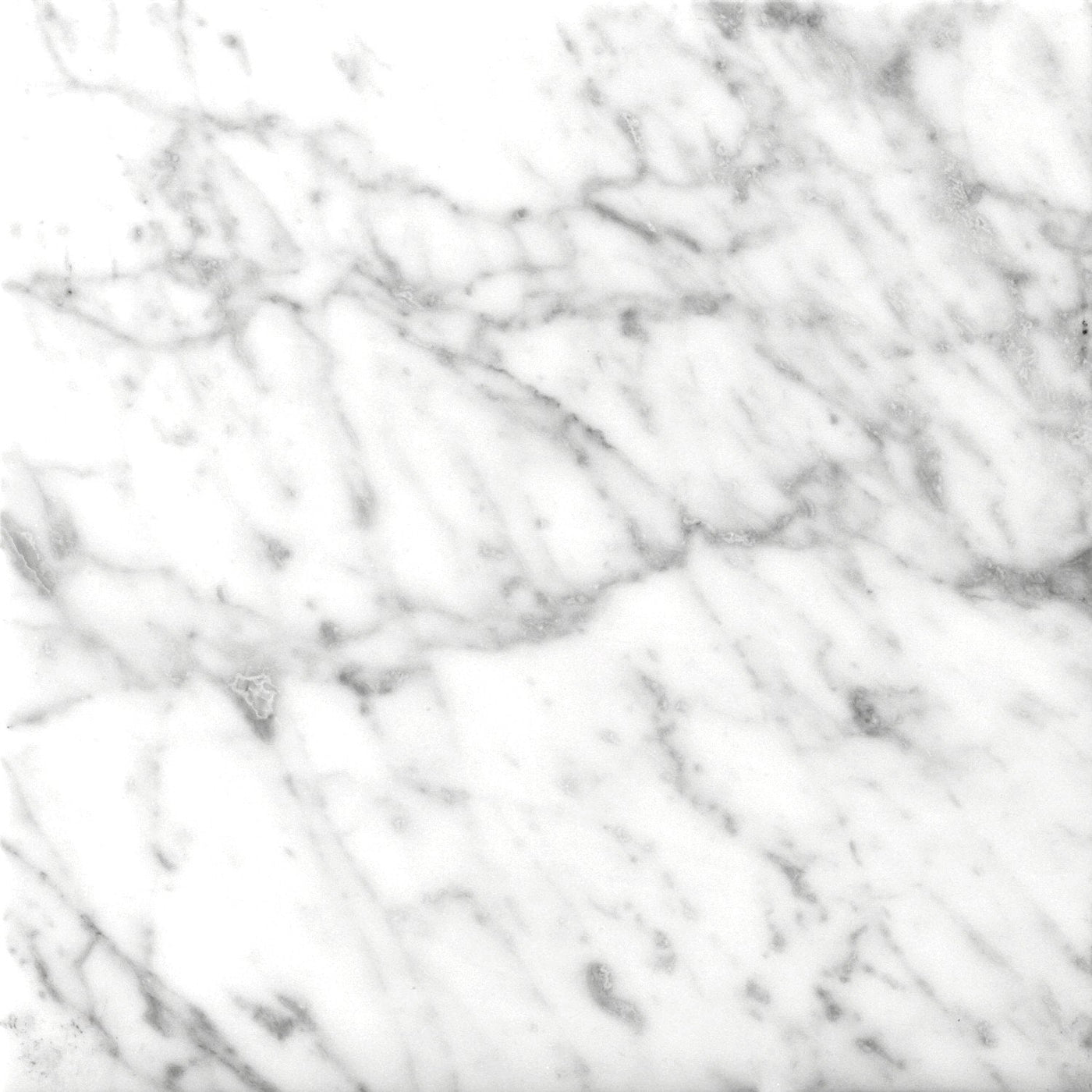 Emser Marble Bianco Gioia Collection 12" x 12" Bianco Honed Marble Tile
