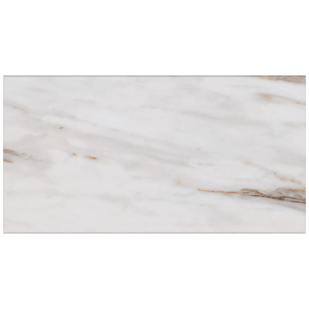 Roca Tile Calacata 12" x 24" Porcelain Tile