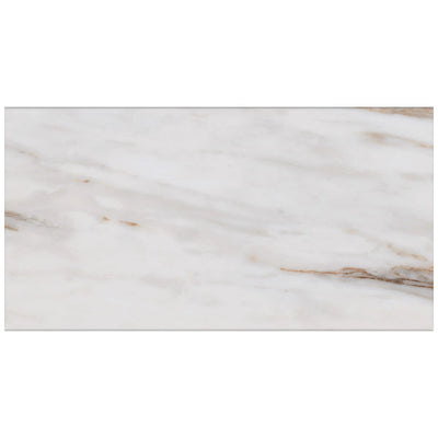 Roca Tile Calacata 12" x 24" Porcelain Tile