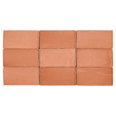 Roca Tile St. Tropez 2.5" x 5" Ceramic Tile