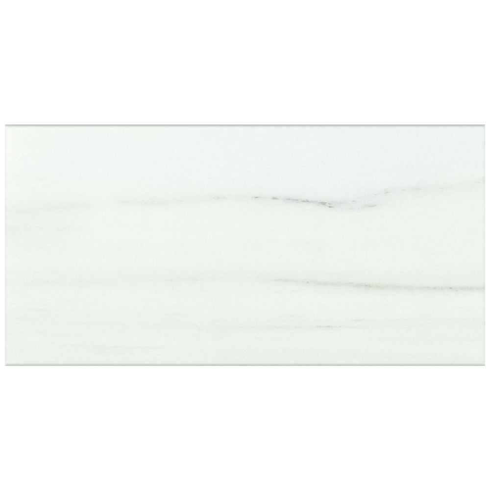 Roca Tile Slabs 24" x 48" Porcelain Tile