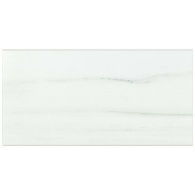 Roca Tile Slabs 24" x 48" Porcelain Tile