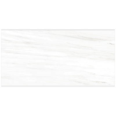 Roca Tile Lassa 12" x 24" Porcelain Tile