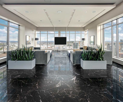 Floors 2000 Marbles Rectified 24" x 48" Porcelain Tile (Special Order) Oniciata Ivory Polished
