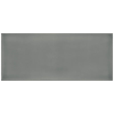 Roca Tile Joy 4" x 10" Ceramic Tile