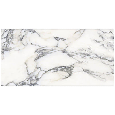 Ottimo Ceramics Marmi 24" x 48" Porcelain Tile