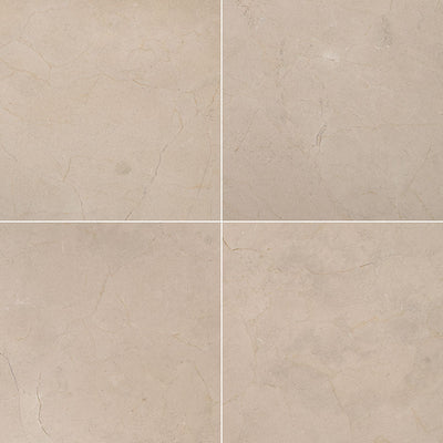 MS International Gold With Envy 12" x 12" Marble Tile