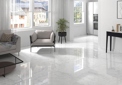 MS International Kaya 24" x 48" Carrara Bianco Polished Porcelain Tile