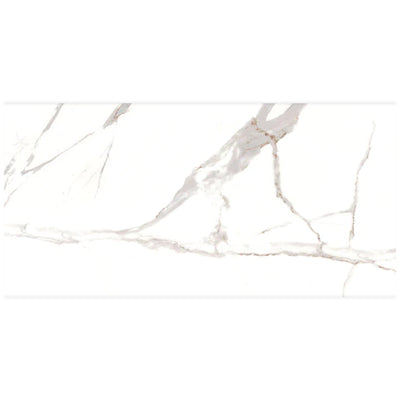 Ottimo Ceramics Calacatta Oro 24" x 48" Porcelain Tile