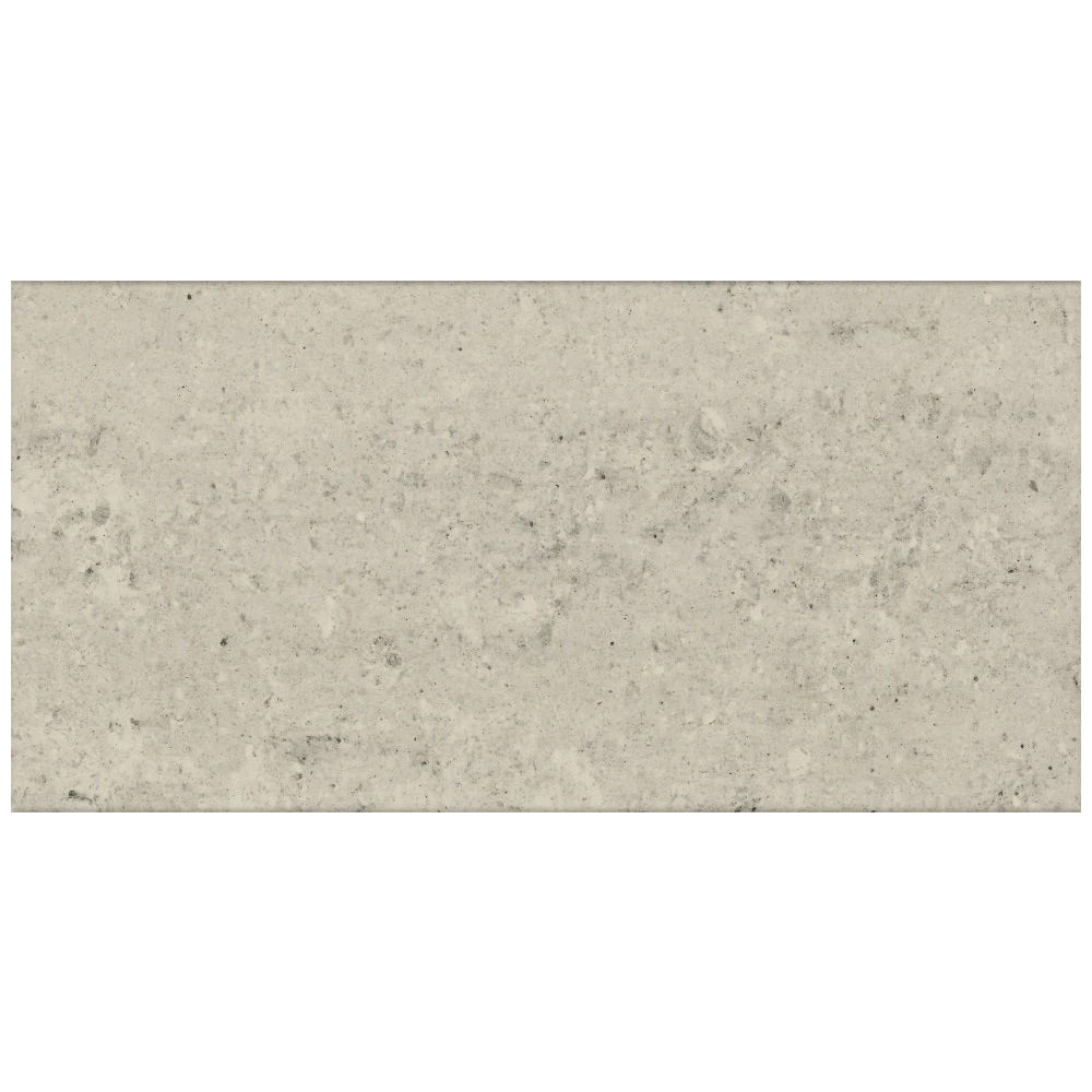 Roca Tile Orion Matte 12" x 24" Porcelain Tile