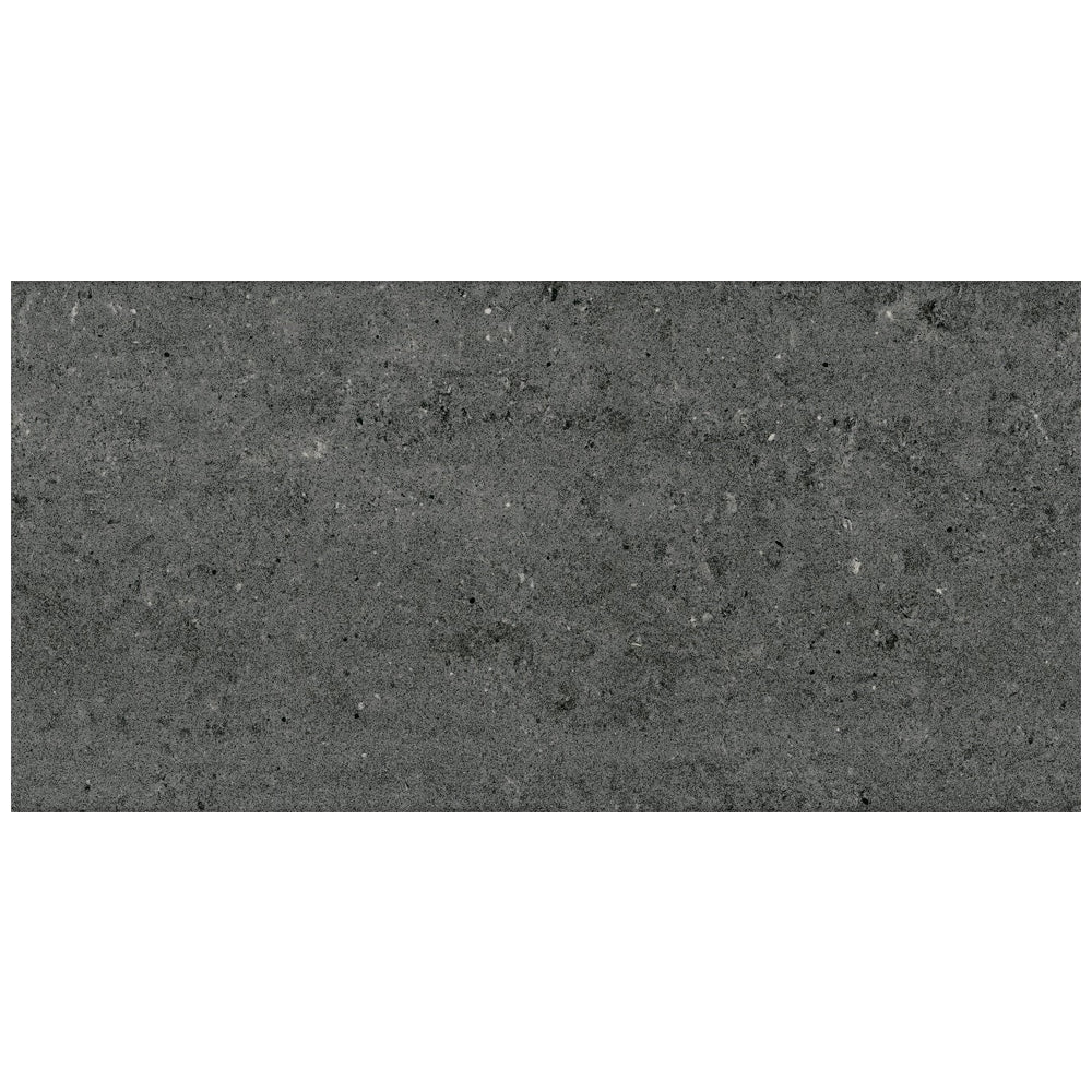 Roca Tile Orion Polished 12" x 24" Porcelain Tile