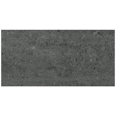 Roca Tile Orion Polished 12" x 24" Porcelain Tile