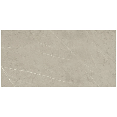 Roca Tile Piasentina 12" x 24" Porcelain Tile