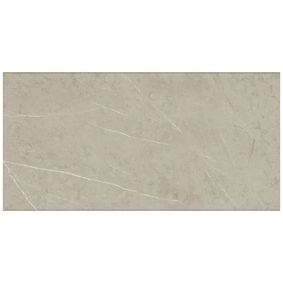 Roca Tile Piasentina 24" x 48" Porcelain Tile