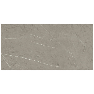 Roca Tile Piasentina 24" x 48" Porcelain Tile