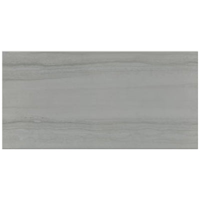 Roca Tile Serpentino 12" x 24" Porcelain Tile