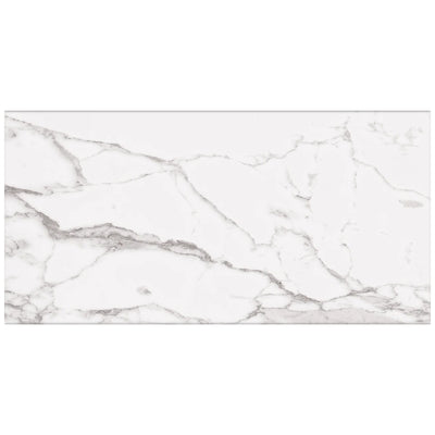 Roca Tile Statuary 24" x 48" Porcelain Tile