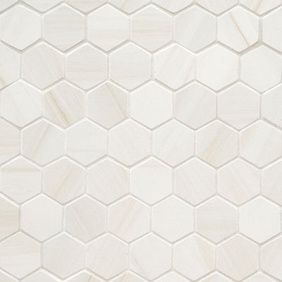 MS International Eden Hexagon 12" x 12" Porcelain Mosaic