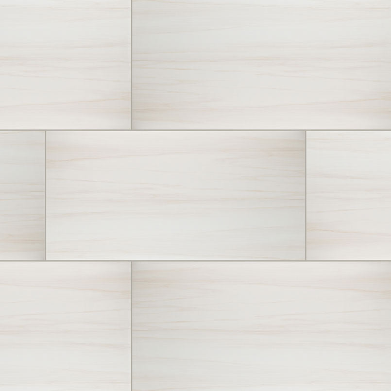 MS International Eden 24" x 48" Porcelain Tile