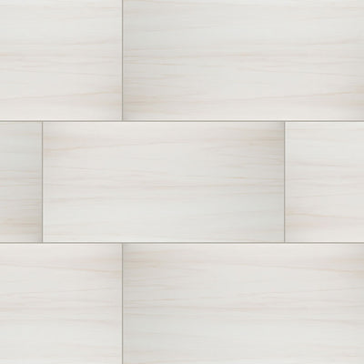 MS International Eden 24" x 48" Porcelain Tile