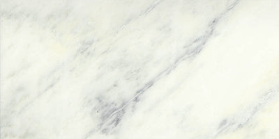 Emser Winter Frost 12" x 24" Marble Tile