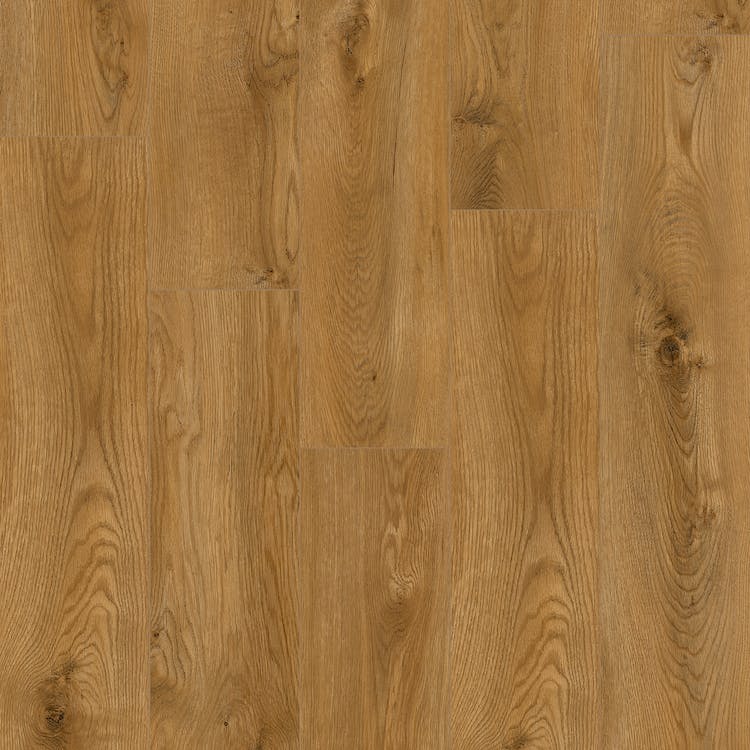 Mannington Charter Phoenix 8" x 48" Laminate Plank