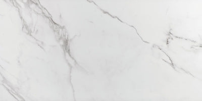 QDI Surfaces Place 24" x 48" Porcelain Tile