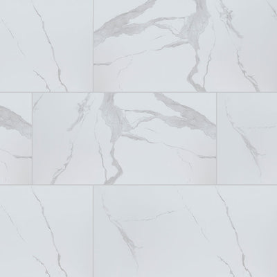 MS International Eden 24" x 48" Porcelain Tile